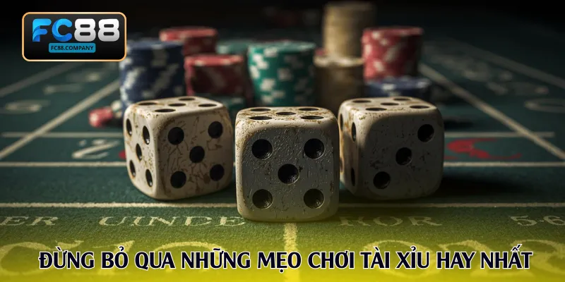 Đừng bỏ qua những mẹo chơi tài xỉu hay nhất